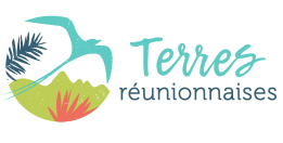 Meilleure Periode Pour La Reunion