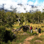 La traversée de La Réunion en trek