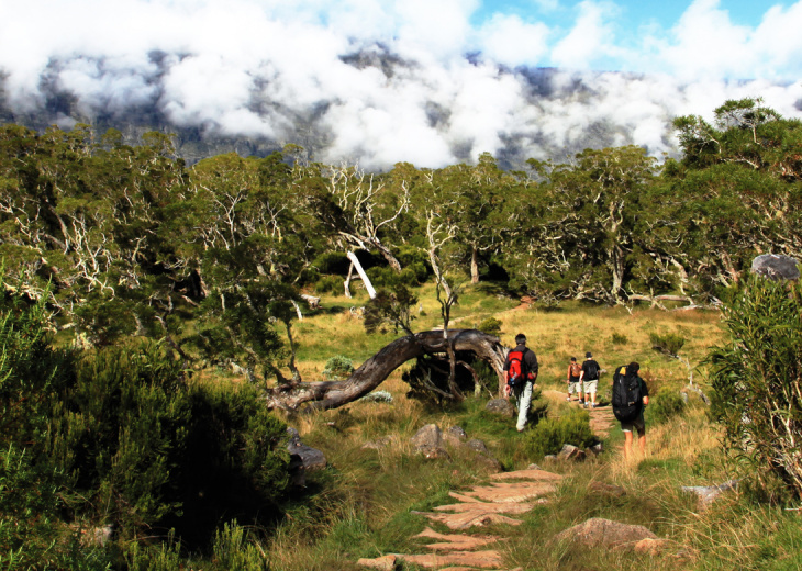 agences de voyages ile de la reunion