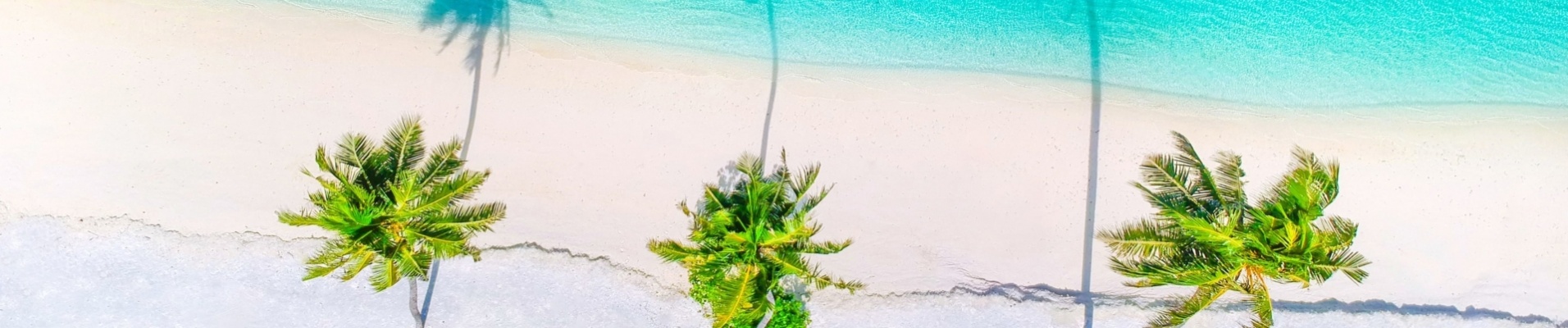 il-maurice-plage-palmiers