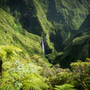 Trou De Fer Réunion