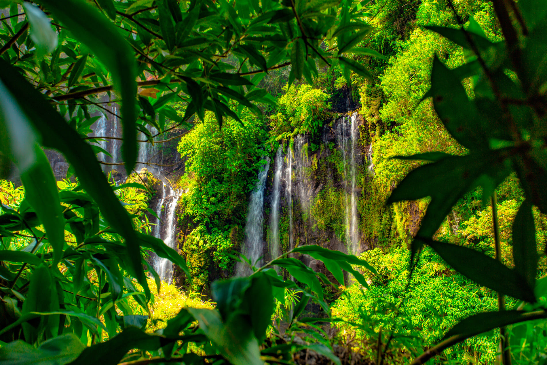 Cascade Grand-Galet - Réunion
