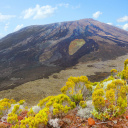 Volcan Piton de la Fournaise