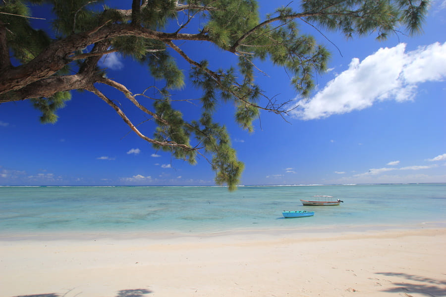 ile-coco-rodrigues-la-reunion