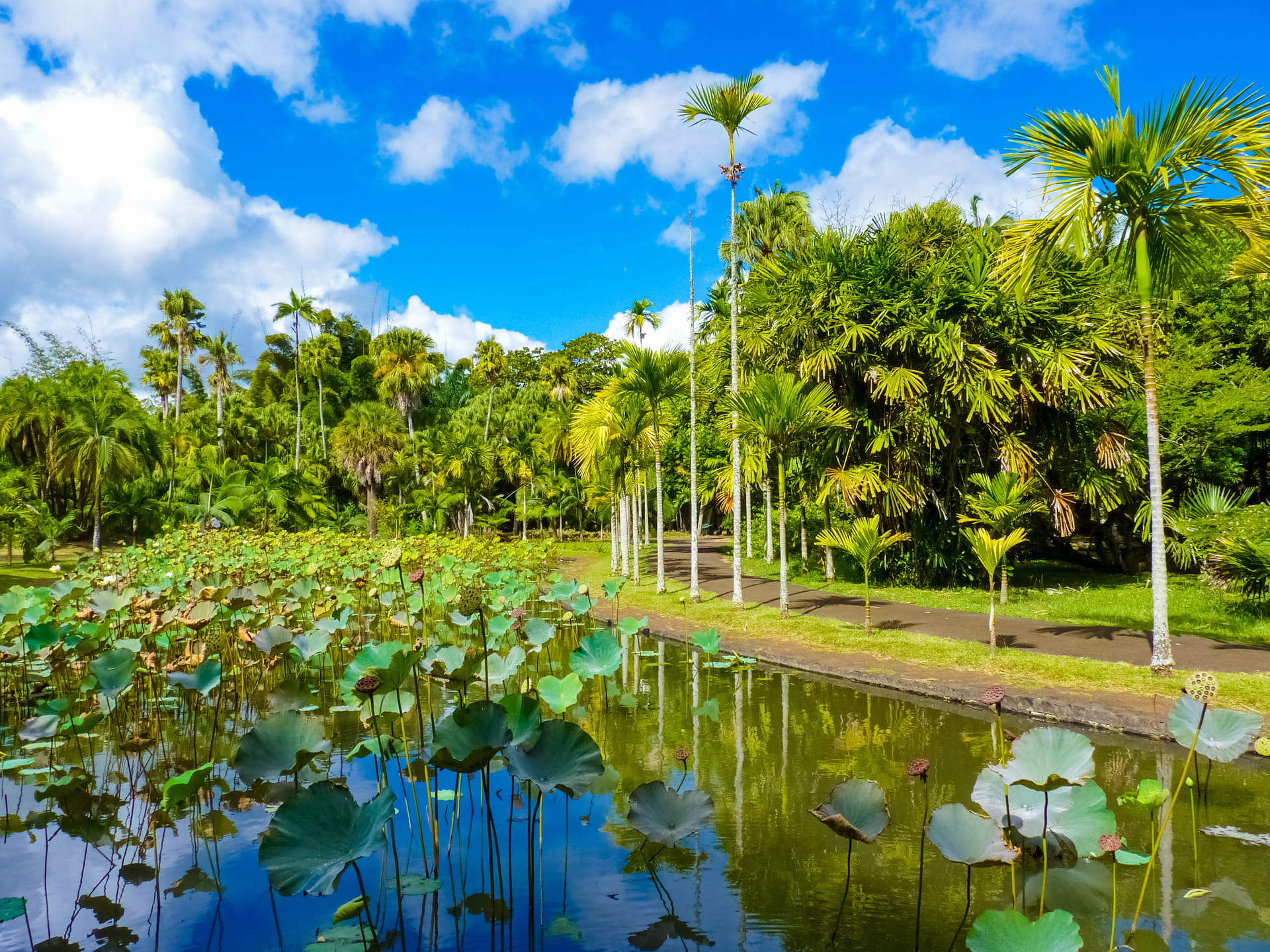 parc-pamplemousse-ile-maurice