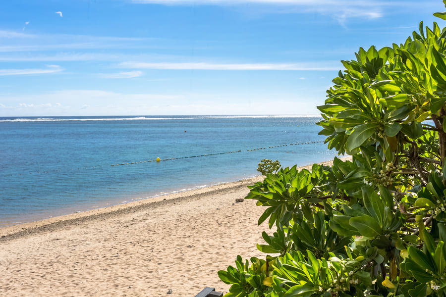 Plage de la saline