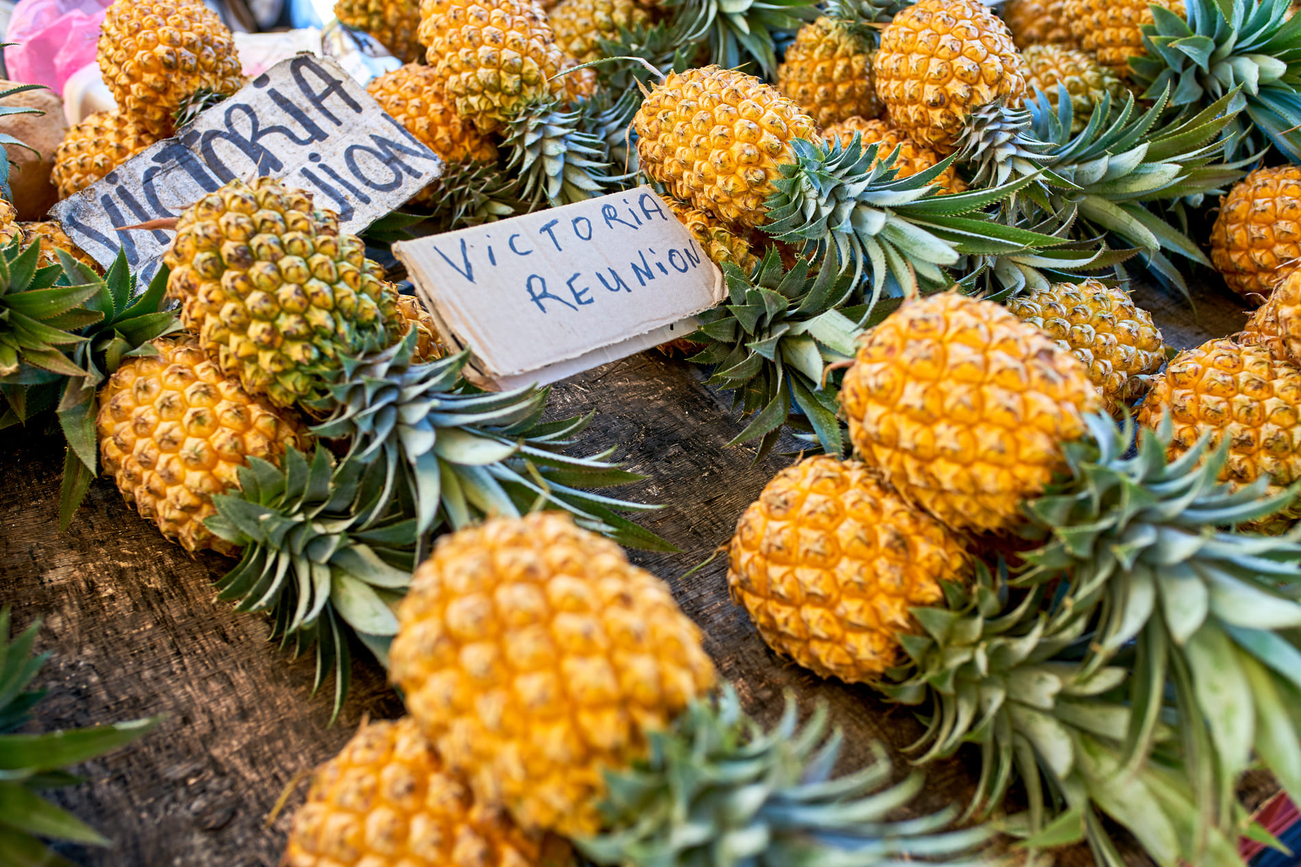 Ananas de la Réunion