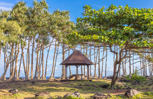 saint-philippe-reunion