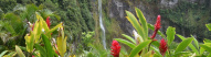 Cascade de Salazie