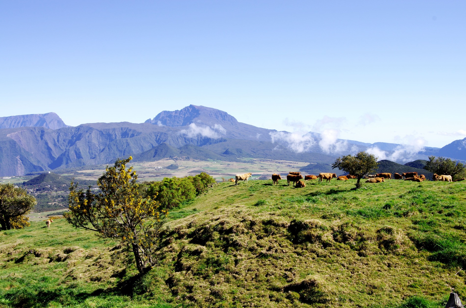 Plaine des Cafres